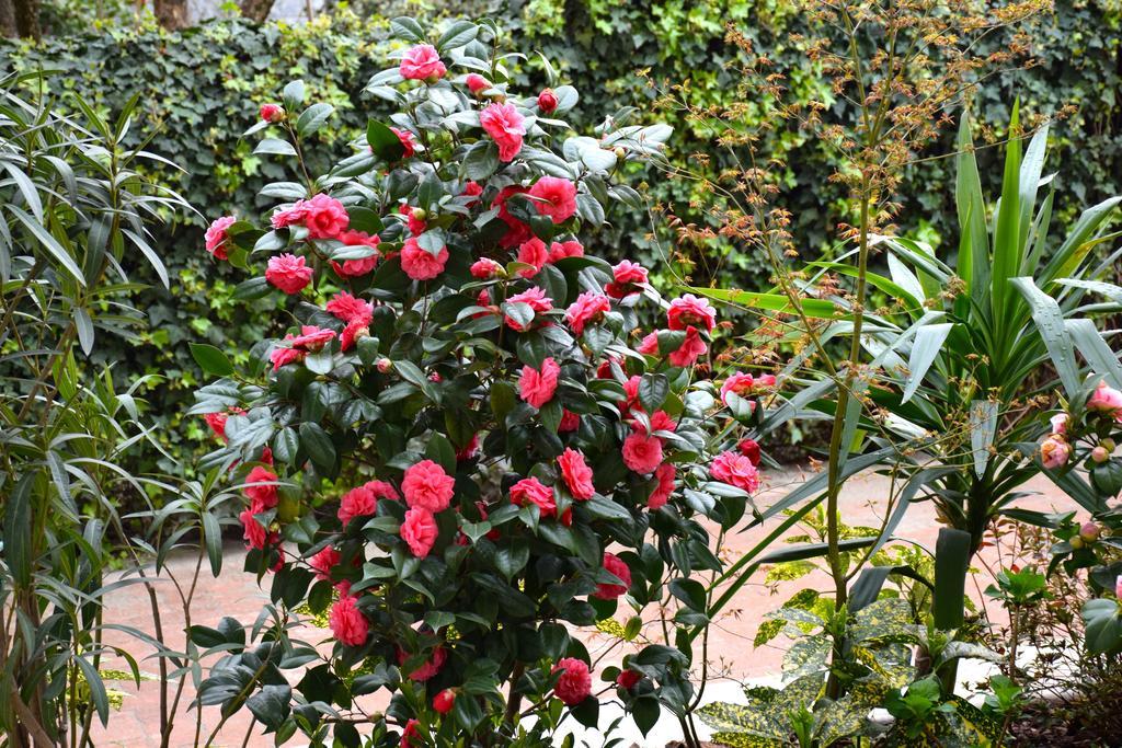 B&B Leonardo Rho Exterior photo